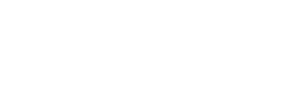 Society For Vascular Surgery Foundation logo